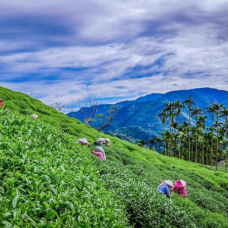 梅山乡鹭露茶居公寓 外观 照片