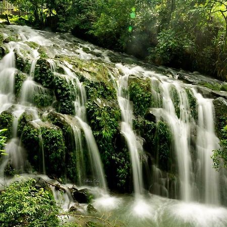 梅山乡鹭露茶居公寓 外观 照片