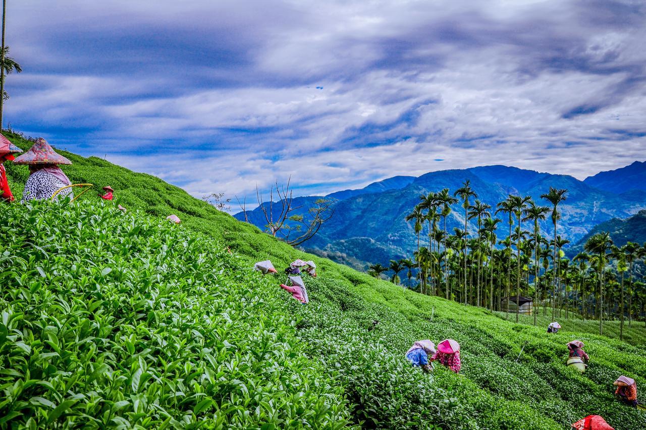 梅山乡鹭露茶居公寓 外观 照片